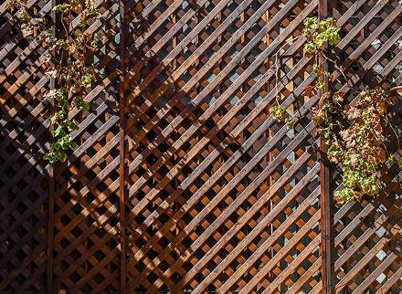 garden trellis panels